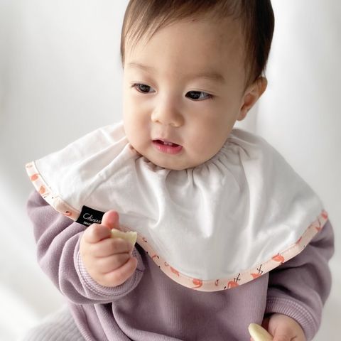 大判スタイ「よりどり5枚 」まとめ購入