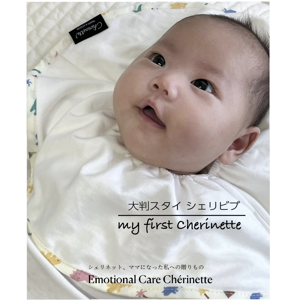 大判スタイ「よりどり5枚 」まとめ購入